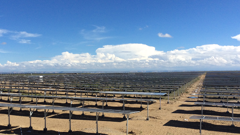 �����ϸ硤(�й�)���ֲ��ٷ���վ